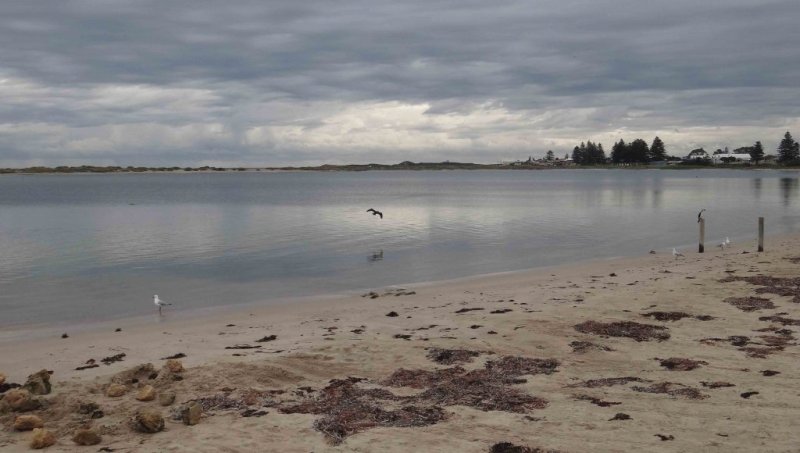 https://www.writteninwaikiki.com/why-im-a-terrible-friend/ beach Waikiki Rockingham Western Australia