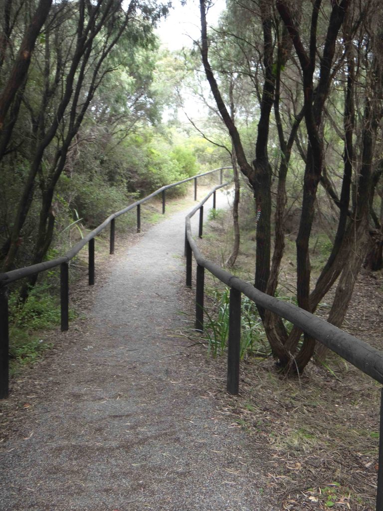 https://www.writteninwaikiki.com/why-im-a-terrible-friend/ walking path trees Western Australia