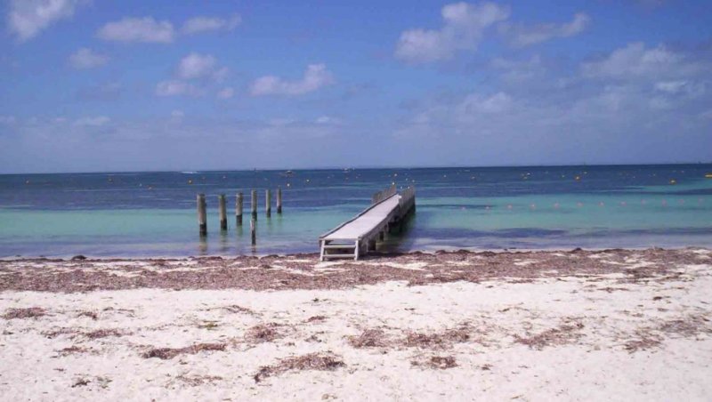 https://www.writteninwaikiki.com/finding-your-happy/ Rottnest Island Western Australia beach