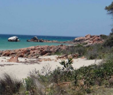 Competitions and How to Win Them - Written in Waikiki