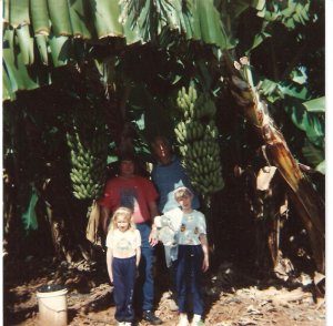banana plantation Carnarvon